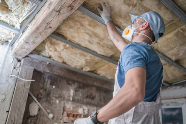Types of Insulation We Offer in Sheldon, TX