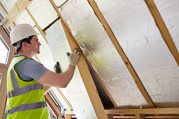 Best Blown-in Insulation in Sheldon, TX