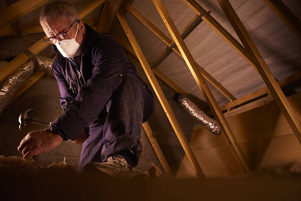 Best Spray Foam Insulation in Sheldon, TX