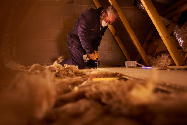 Best Specialized Insulation Services in Sheldon, TX